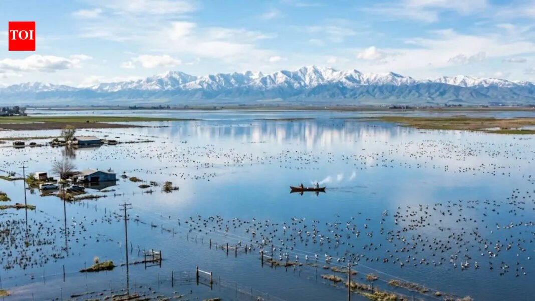 ‘Ghost Lake’ Returns: California’s Largest Water Loss Reappears After 130 Years | World News