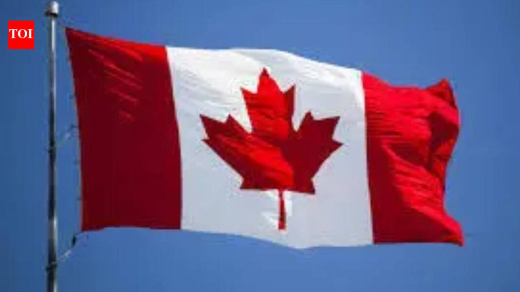 I thought it was a toy gun: Indian man in Canada says he had no idea his friend was working for Lawrence Bishnoi