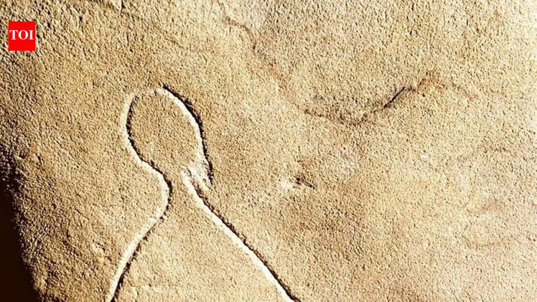 In 2000, an amateur explorer discovered a hidden cave filled with ancient art and tombs in France |