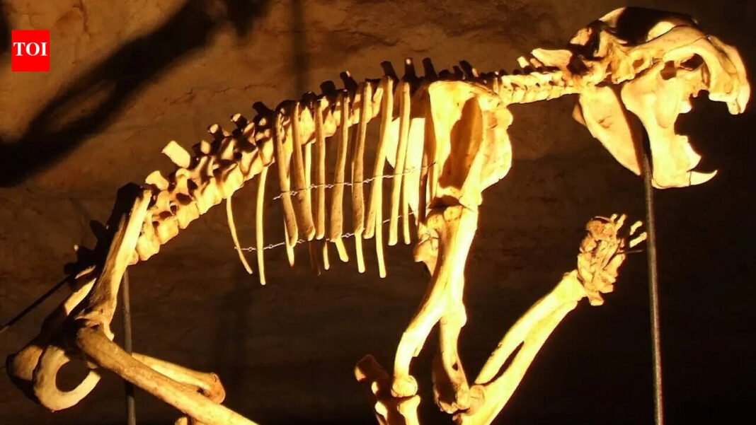In 2002, cavers discovered a hidden skeleton that revealed an ancient Australian predator |

