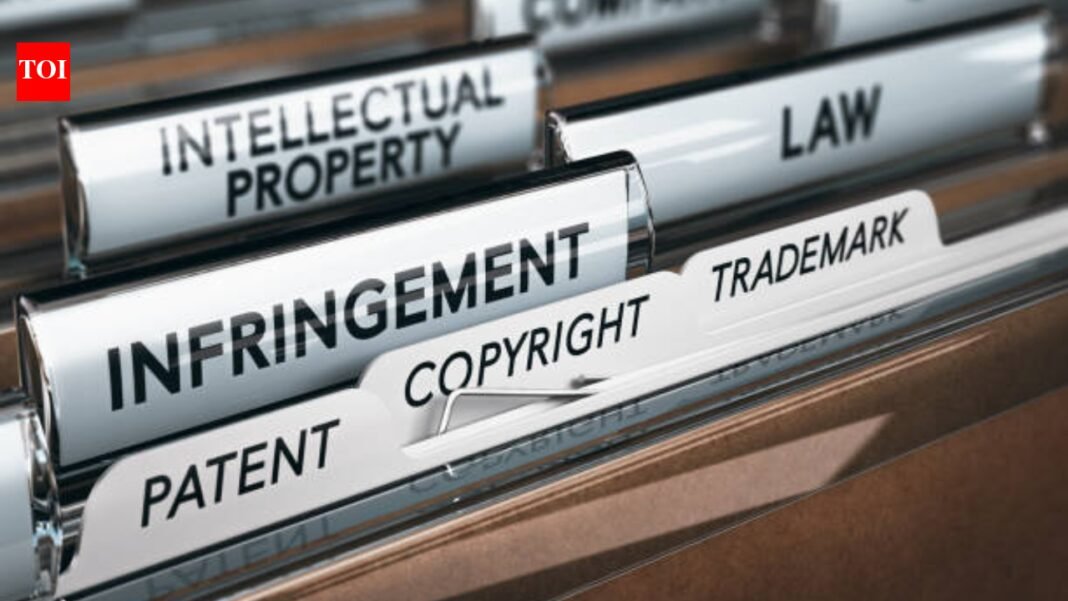 India remains on U.S. intellectual property priority watch list

