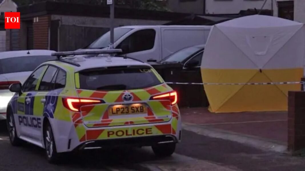 Indian-origin man convicted of attempted murder of woman, child in London stabbings


