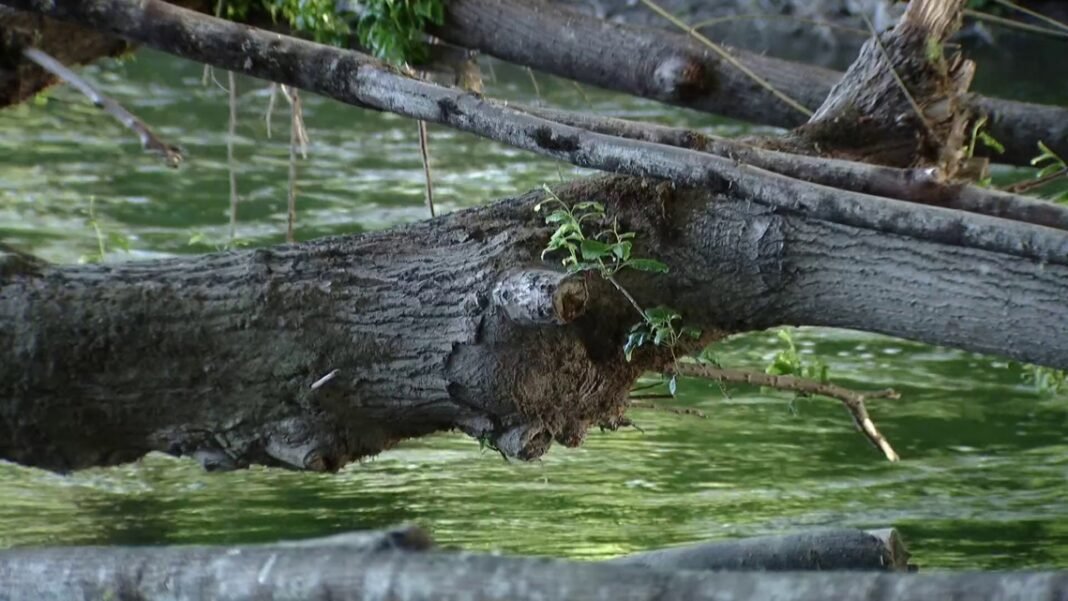 King County officials warn of hidden river hazards from December's historic flooding

