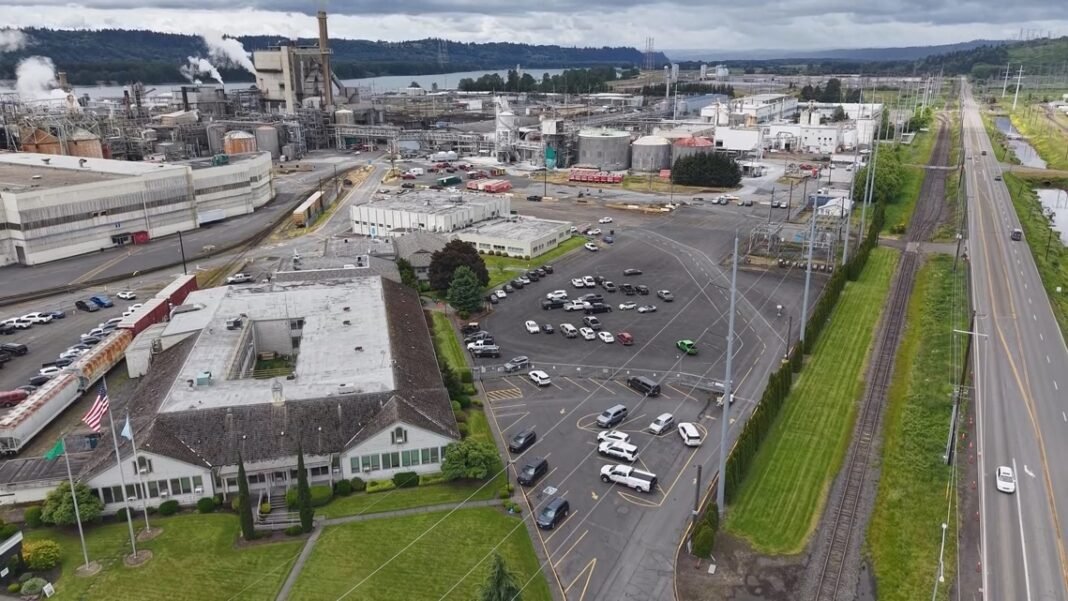 Officials say contamination reaches Columbia River after Longview water tank ruptures