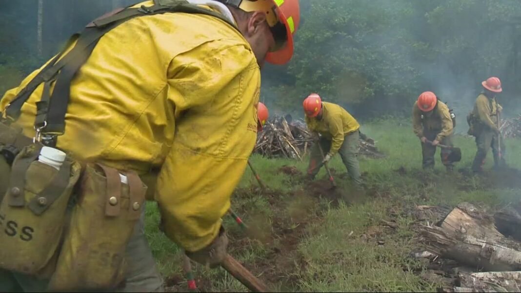 Oregon's 75-year-old forest prison camp where inmates train on the front lines of wildfire response

