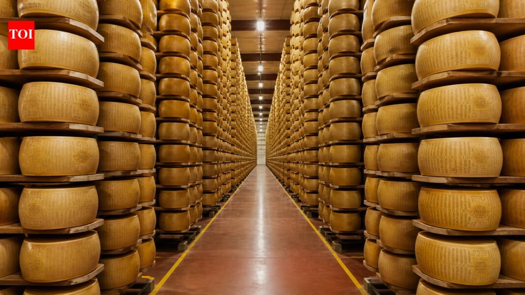 Parmigiano-Reggiano: How Italy’s ‘cheese bank’ is powering a €4 billion industry

