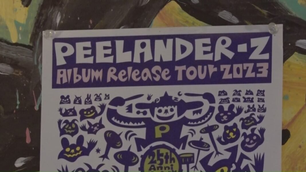Punk band Peelander-Z hospitalized after car crash in New Mexico
