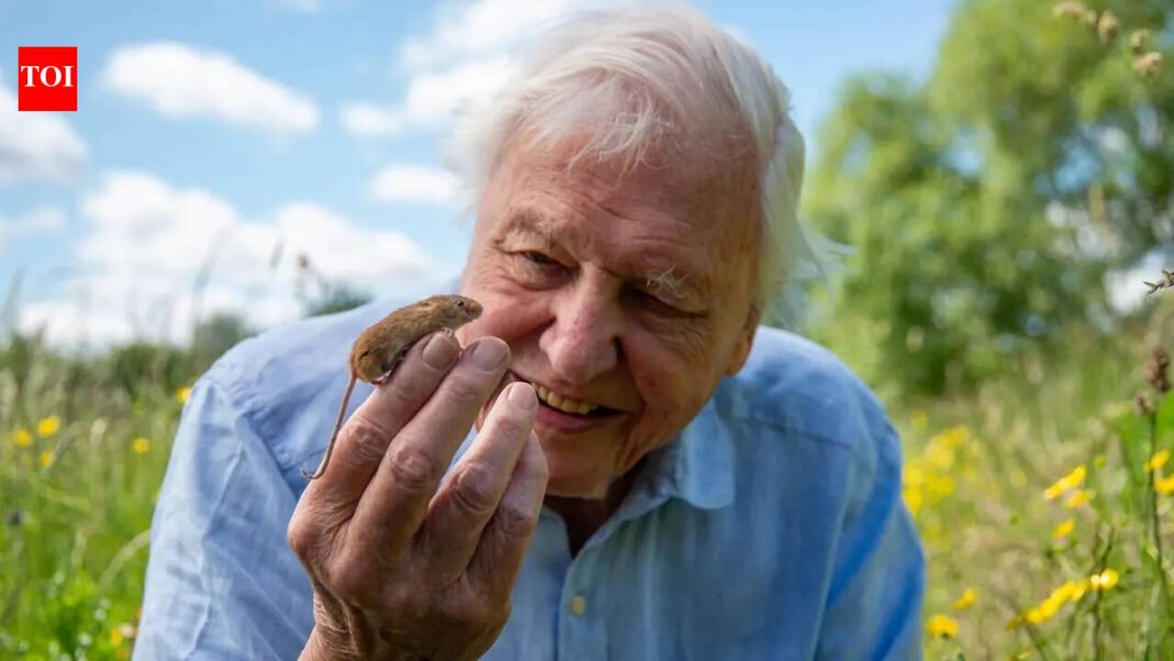 Sir David Attenborough celebrates 100th birthday: the life, legacy and global impact of the world’s best-loved natural history broadcaster |