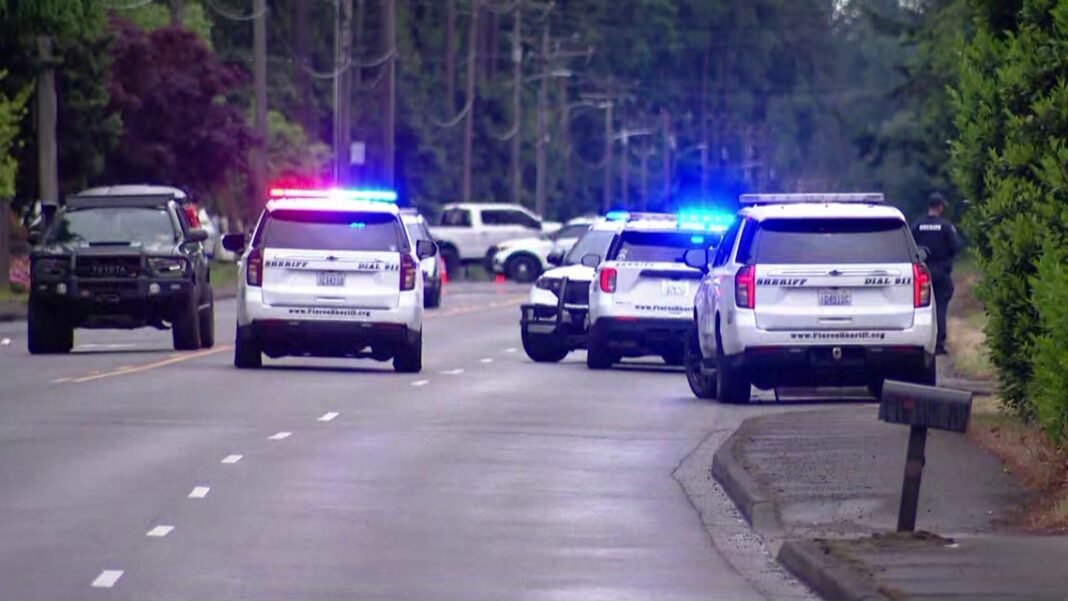 Spanaway driver hits and kills 21-year-old man