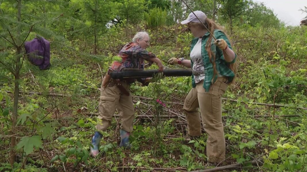 State plan helps overwhelmed landowners cope with invasive plants, wildfire risks

