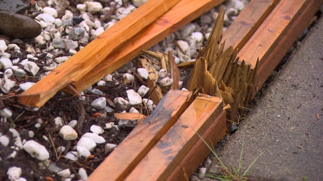 Tacoma family fears for safety after car crashes into front yard