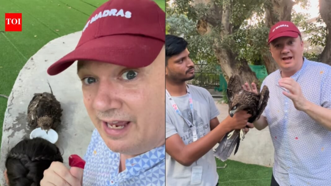 'They're hot too': British man saves dehydrated bird in Delhi heat and praised online


