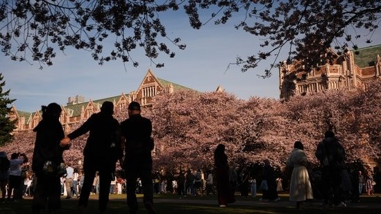 Who is Christopher Leahy? Suspect in University of Washington student stabbing turns himself in