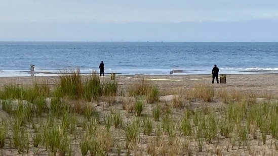 Who is Eileen Murdy? 5 Things to Know About Brooklyn Mom Sentenced to 20 Years in Coney Island Child Drowning