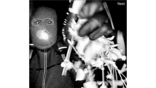 Who is the ‘boss’? As creepy Porch Guy theory surfaces, mysterious new figure emerges in Nancy Guthrie case