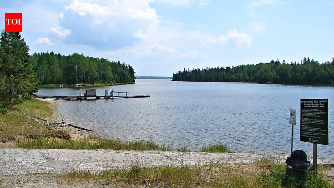 10 Largest Artificial Lakes in Canada: La Grande-3 Reservoir, Lac Seul, Williston Lake and More | World News