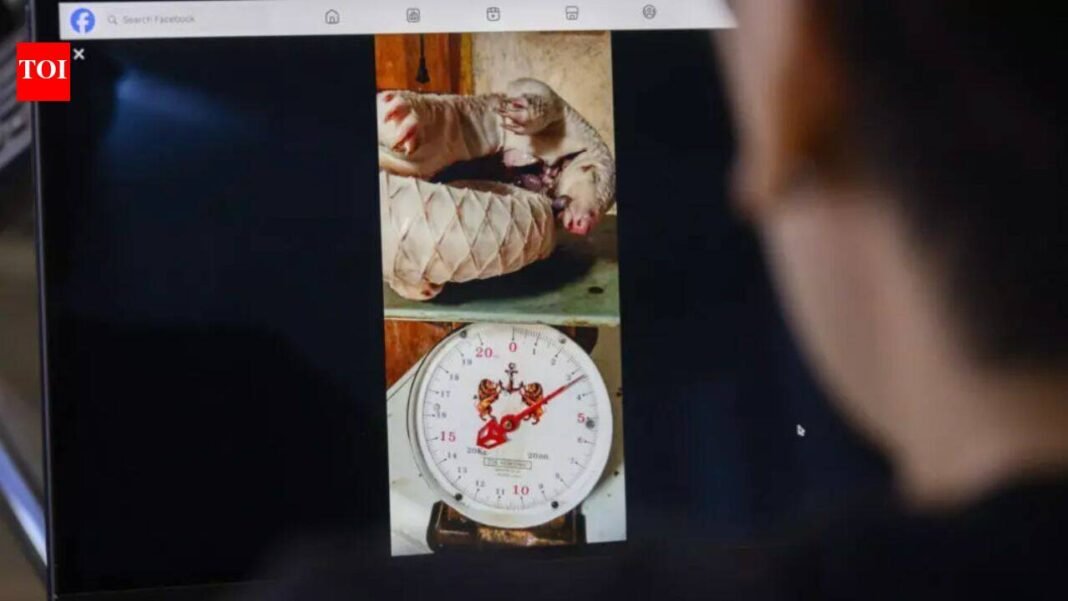 20,000 ads, 2,60,000 products: Report exposes Meta’s wildlife trafficking market

