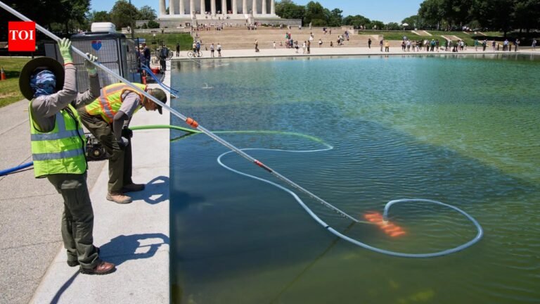 ‘250-foot deep wound, dumped chemicals’: Donald Trump claims vandals damaged reflecting pool