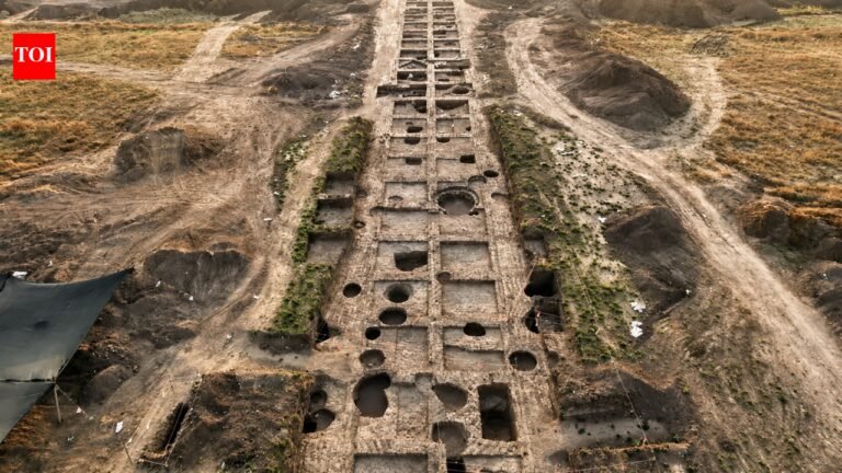 5,500-year-old Canaanite blade factory discovered in Israel reveals surprisingly advanced society | World News