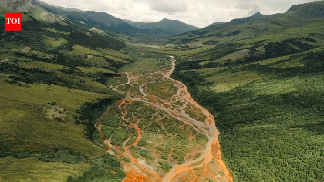 Alaska’s rivers are turning rusty orange, scientists say cause has been frozen for thousands of years World News