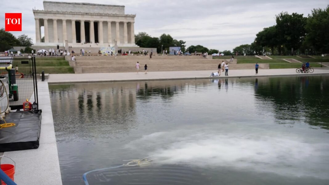 America@250 surrounded by red, white, blue and green algae