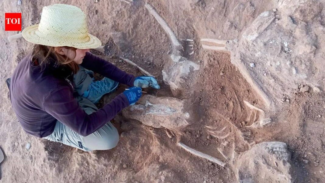 Archaeologists find Roman soldiers buried inside 5,000-year-old Spanish fort World News

