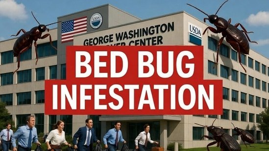 Bedbugs invade Trump’s USDA office; White House forces staff to return despite infestations: report