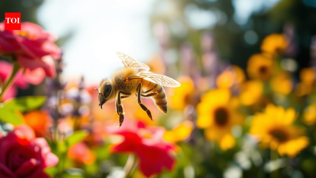 Bees just helped scientists build tiny drones that can navigate and find their way home without GPS |