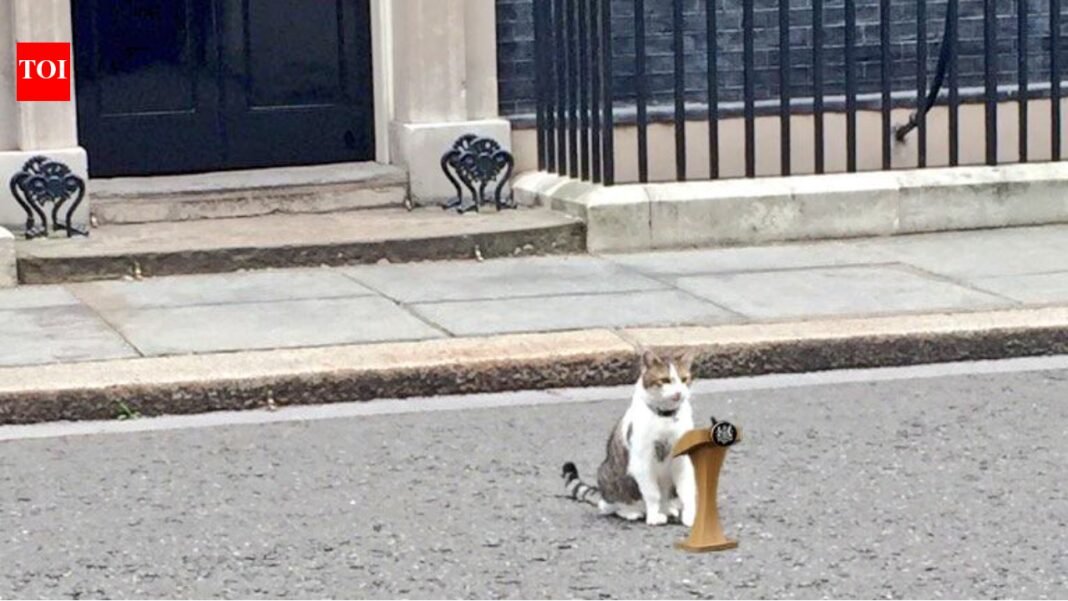 ‘Chief Mousecatcher’ Larry Cat still awaits Prime Minister No. 7 as Keir Starmer calls it quits