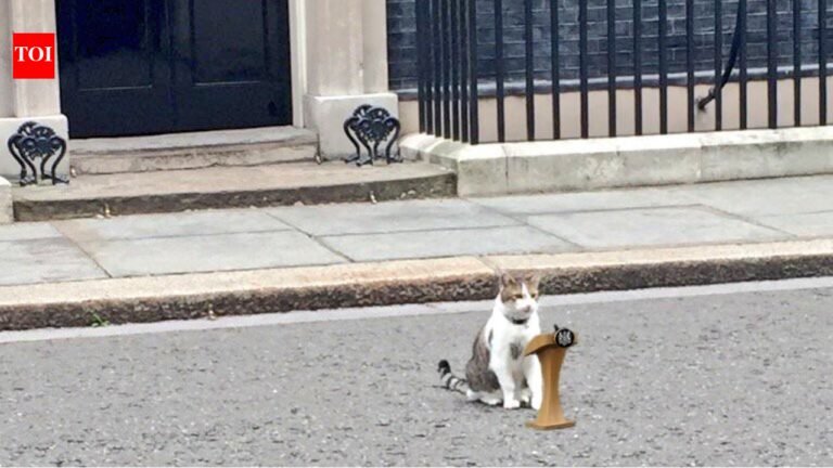 ‘Chief Mousecatcher’ Larry Cat still awaits Prime Minister No. 7 as Keir Starmer calls it quits