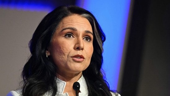 Director of National Intelligence Gabbard’s explosive accusation against Fauci: Funding Wuhan study that led to coronavirus pandemic