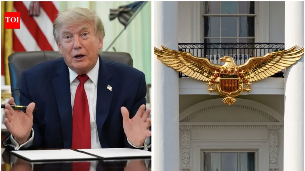 Donald Trump: 'A golden gift to the White House': Trump shares AI-generated image of giant bald eagle to mark 250th anniversary of inauguration


