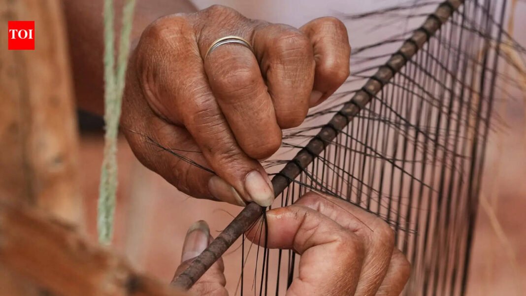Ecuadorian artisans work to preserve traditional craft of weaving horsehair filters

