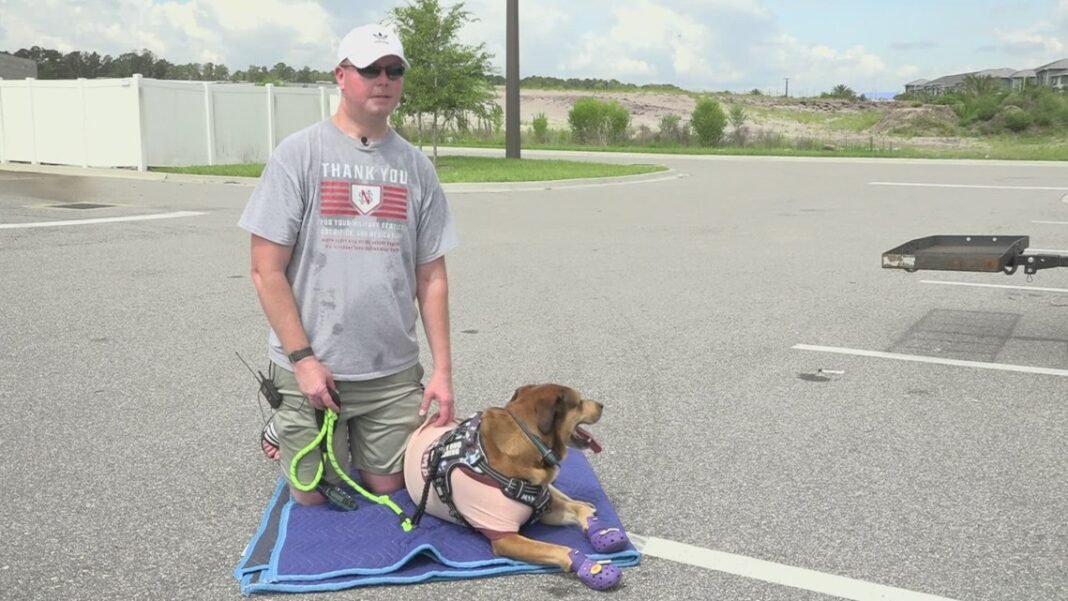 'Emotionally unhinged': Navy veteran reunited with missing service dog

