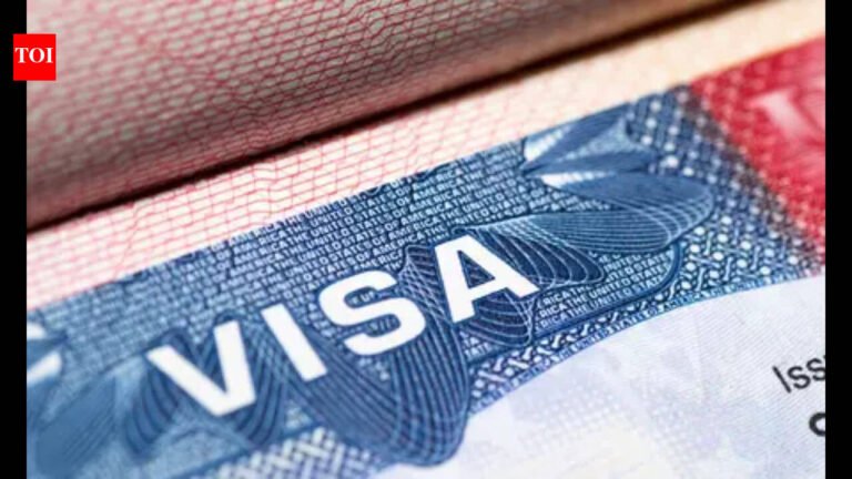 Expired visa stamps: Texas H-1Bs face driver license renewal denials due to ‘new rules’