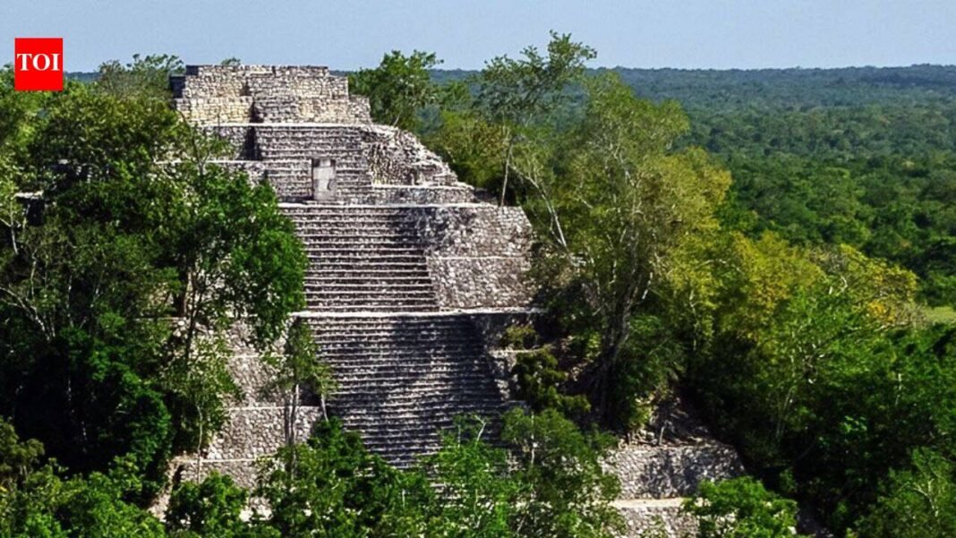 Forgotten Mexico City: A PhD student accidentally discovers a vast ancient civilization hidden beneath the jungle | World News

