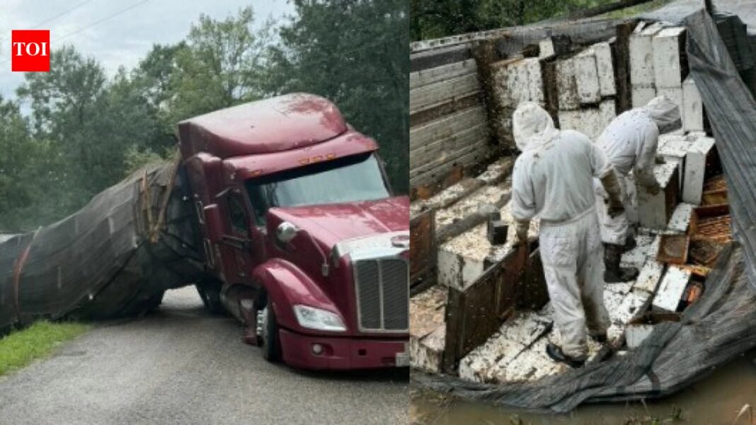 Honey holocaust: 24 million bees escape after 18-wheeler overturns, forcing Texas community into lockdown | World News