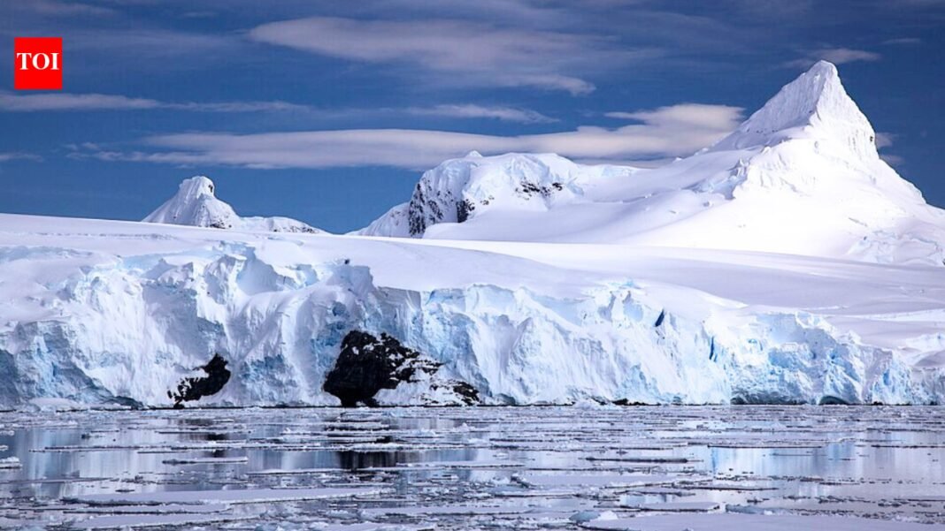 ‘It’s frustrating’: Antarctica’s winter sea ice disappears as temperatures reach 20°C above average