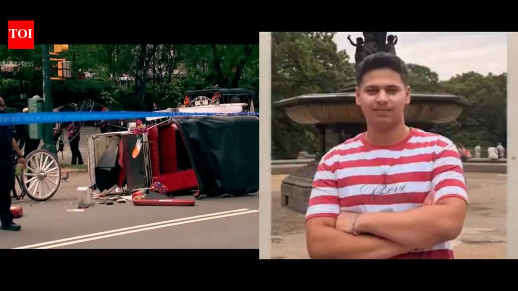 New York Mayor Zohran Mamdani pushes to end horse-drawn carriage industry after death of Indian teen Romanch Mahajan
