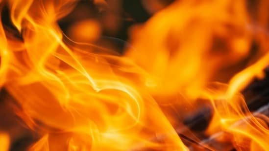 Oceanside Airport Fire Map and Live Evacuation Updates: San Diego Humane Society evacuates campus as fire spreads