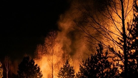 Pine Fire Update: Wildfire spreads after military plane crashes near Rimrock Lake; pilot ejects safely