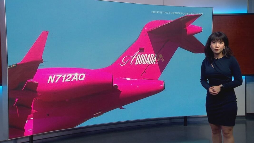 Pink planes and luxury apartments: Former clients question Alessandra Lozano’s lifestyle as lawsuits and complaints mount