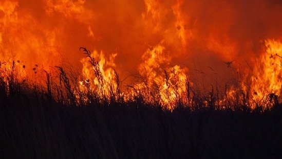Salt Lake City wildfires: Maps and evacuation updates, video shows Bonneville Fire burning near University of Utah Hospital