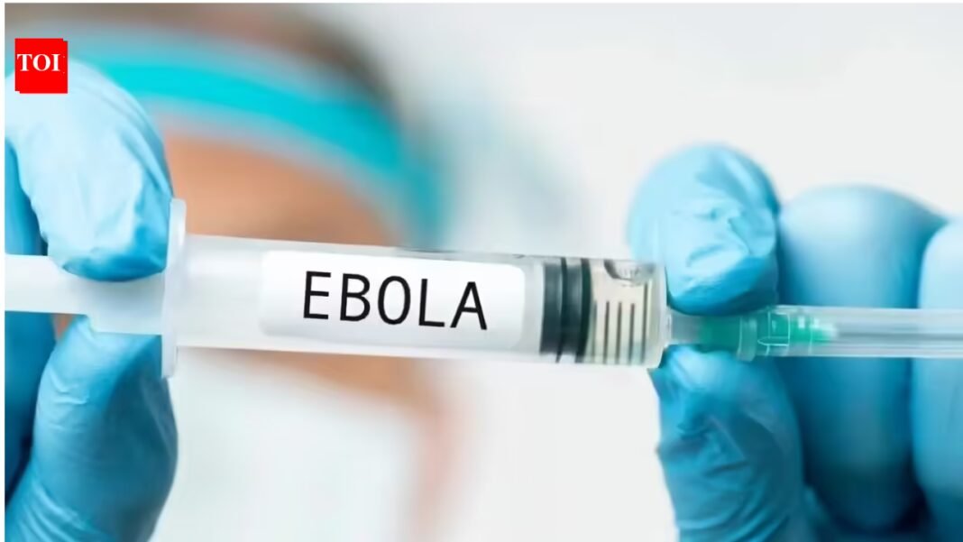 Saudi Arabia imposes travel ban on three African countries, suspends visas over Ebola outbreak World News

