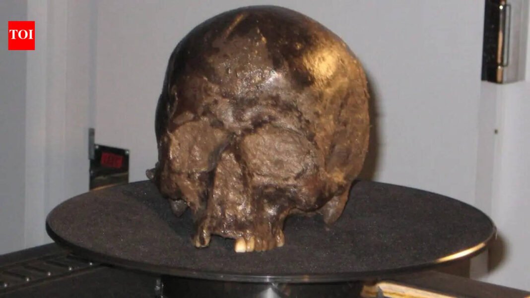 Scientists discover a 2,600-year-old brain inside an Iron Age skull, and it’s still intact |