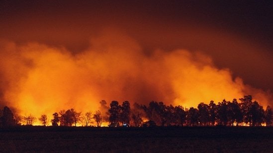 Sparks, Nevada, Navato Fire update: Blaze triggers evacuation order; check map as scary visuals appear