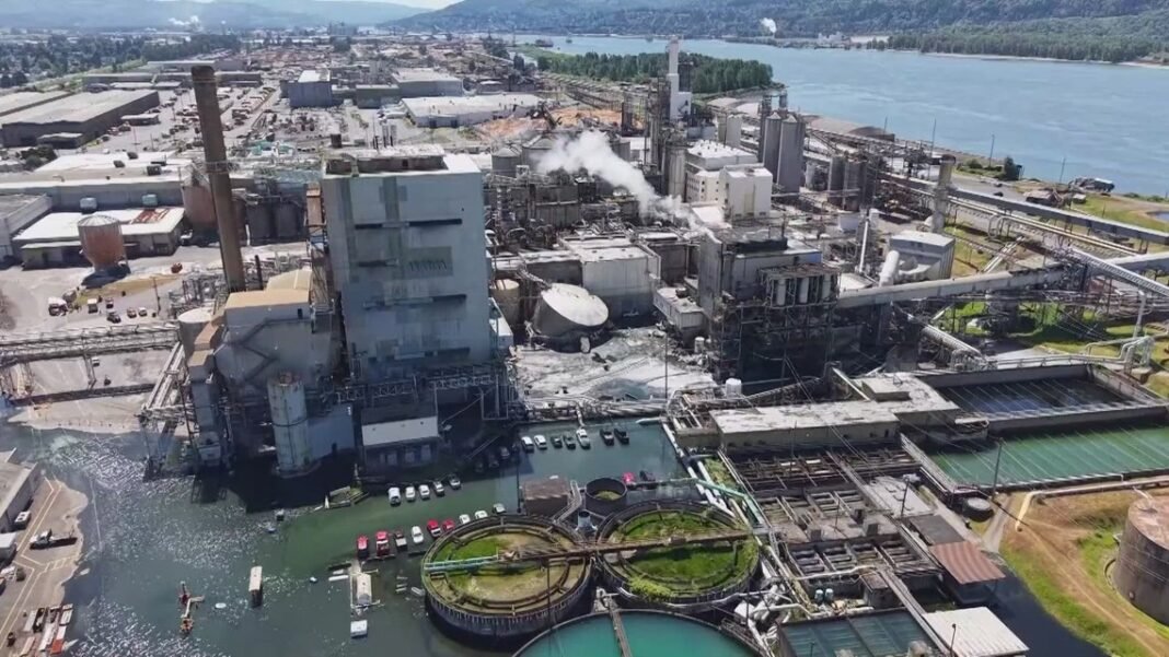 Tank that killed 11 at Longview paper mill does not require state or federal inspections

