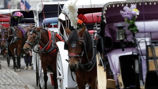 Teenager dies in bizarre horse-drawn carriage accident in New York’s Central Park on first trip from India