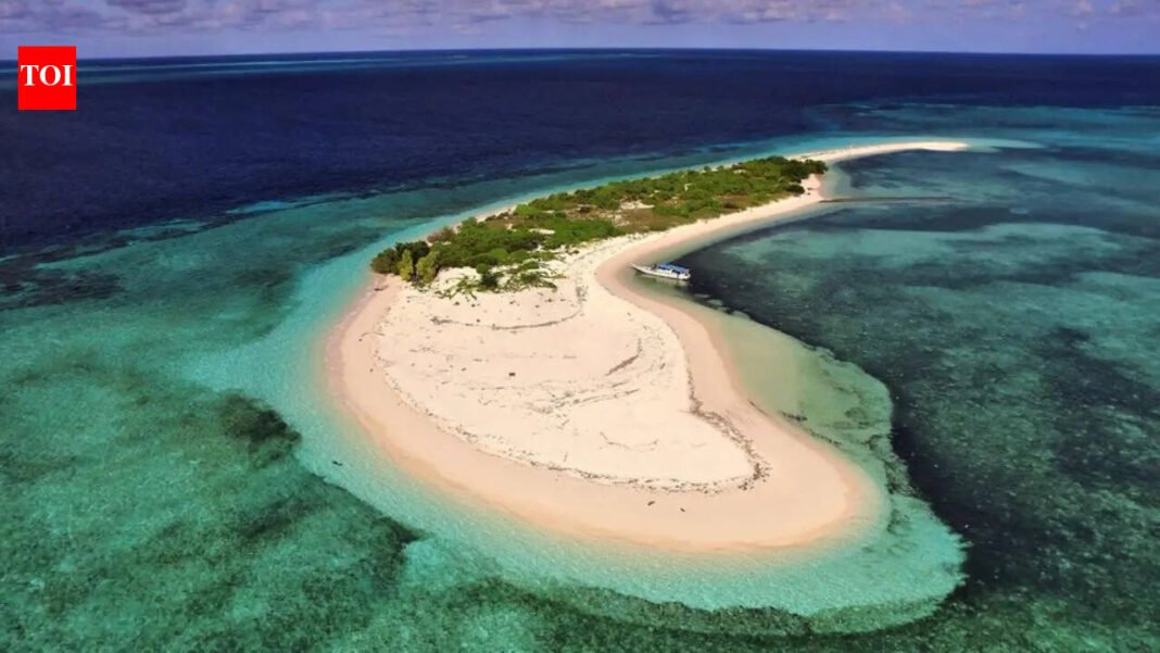 The world’s top 10 island countries: Indonesia, Japan, Papua New Guinea among the largest island countries World News