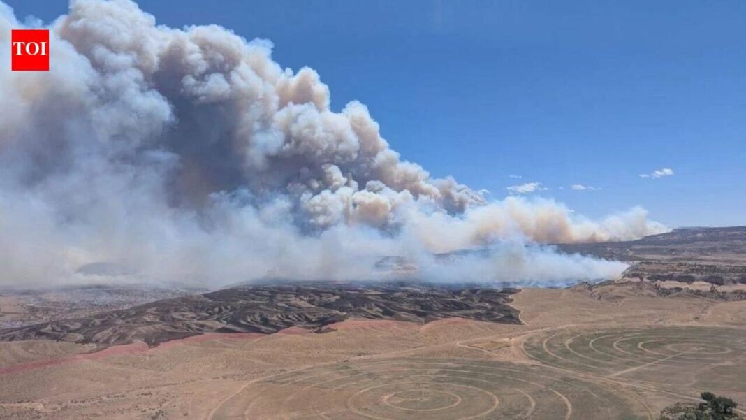 Three firefighters killed fighting wildfires on Colorado-Utah border as blazes spread across US West

